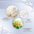 Lotion Essentielle Hydro-Clarifiante cl&eacute; de peau beaut&eacute;