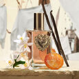 Devotion Dolce & Gabbana