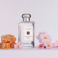 Nectarine Blossom & Honey Jo Malone London