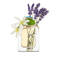 Eau d&rsquo;Azur Veronique Gabai