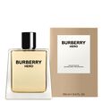 Hero Burberry
