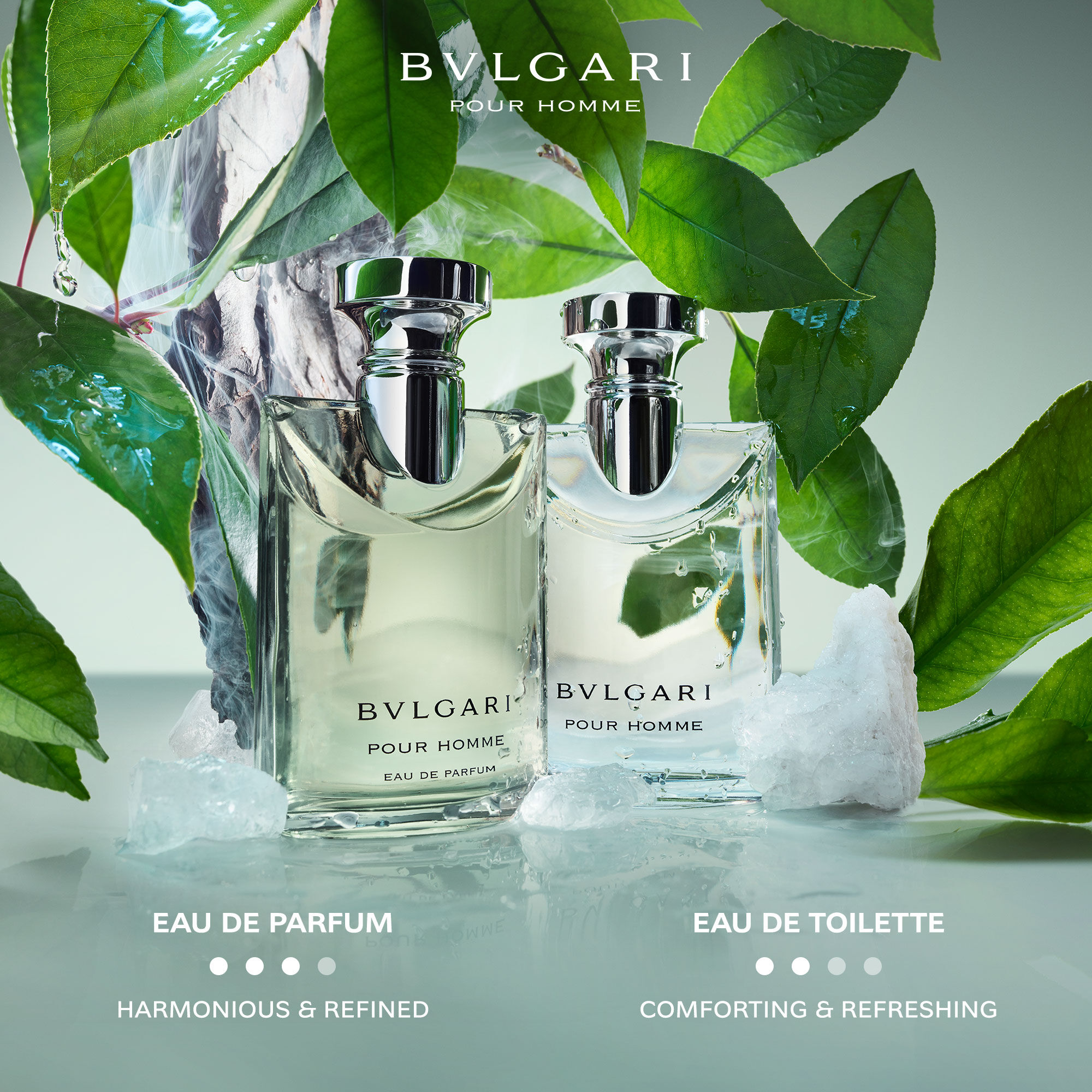 k*1様 【新品未開封】BVLGARI Pour Homme 100ml edt Bvlgari Pour Homme, Eau de Toilette - Bvlgari | MyOrigines Produit