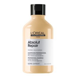 Absolut Repair