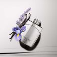 Legend Elixir Montblanc