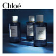 Atelier des Fleurs - Nuit d'Oranger Chlo&eacute;