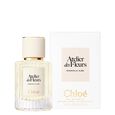 Atelier des Fleurs - Magnolia Alba Chlo&eacute;