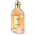 Aqua Allegoria Forte Guerlain