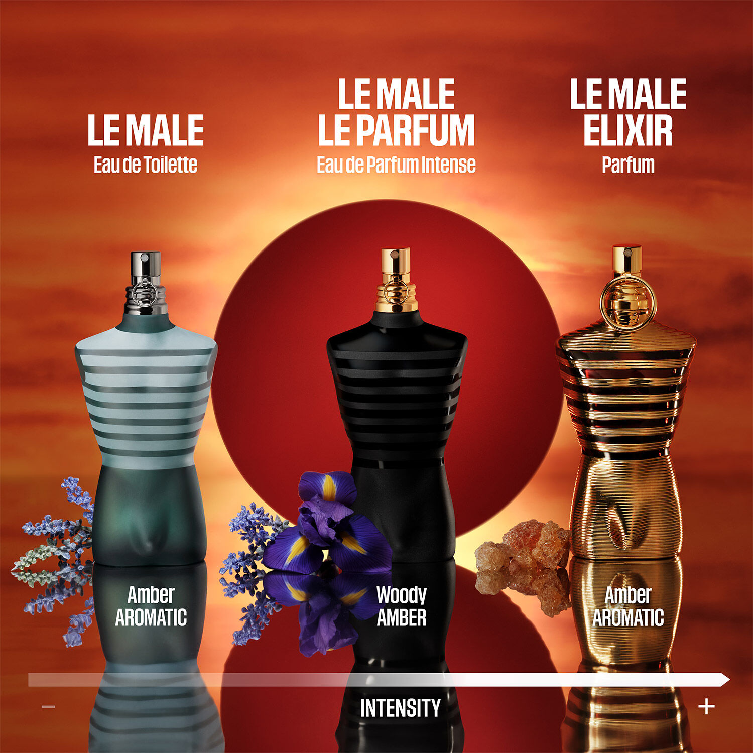 Le Male Le Parfum, Eau de Parfum Intense - Jean Paul Gaultier 
