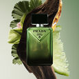 Paradigme Eau de Parfum Homme Bois&eacute;e Ambr&eacute;e Rechargeable