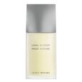 L'Eau d'Issey pour Homme Issey Miyake