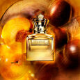 Scandal Pour Homme Absolu Jean Paul Gaultier