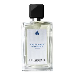 Sous Un Mimosa de Provence