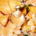 Olymp&eacute;a Elixir Rabanne