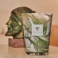 Leaves Marius Baobab Collection