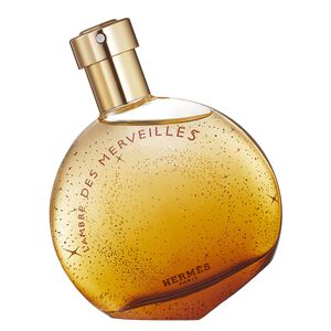 L'Ambre des Merveilles