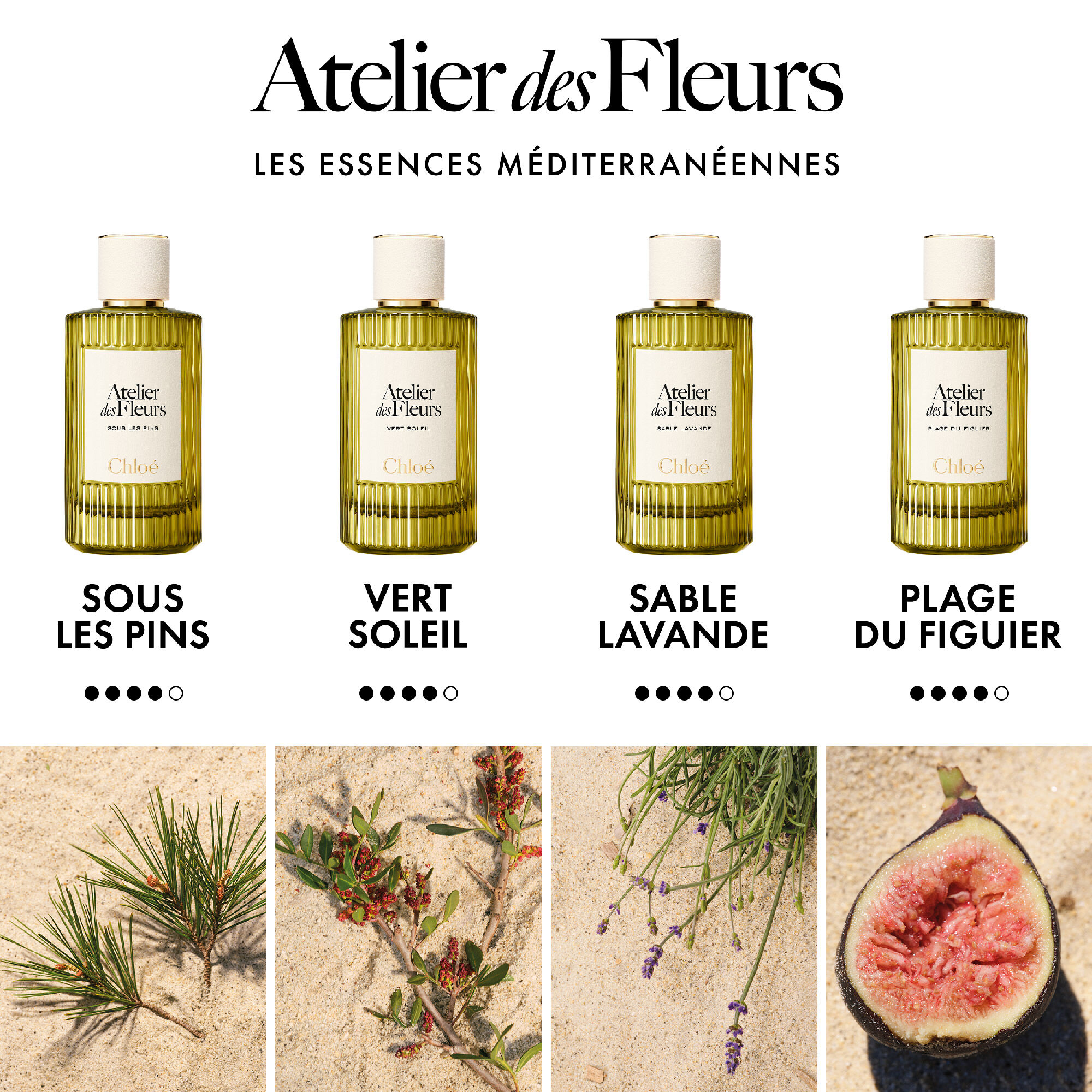Atelier des Fleurs - Sous les Pins, Eau de Parfum - Chloé