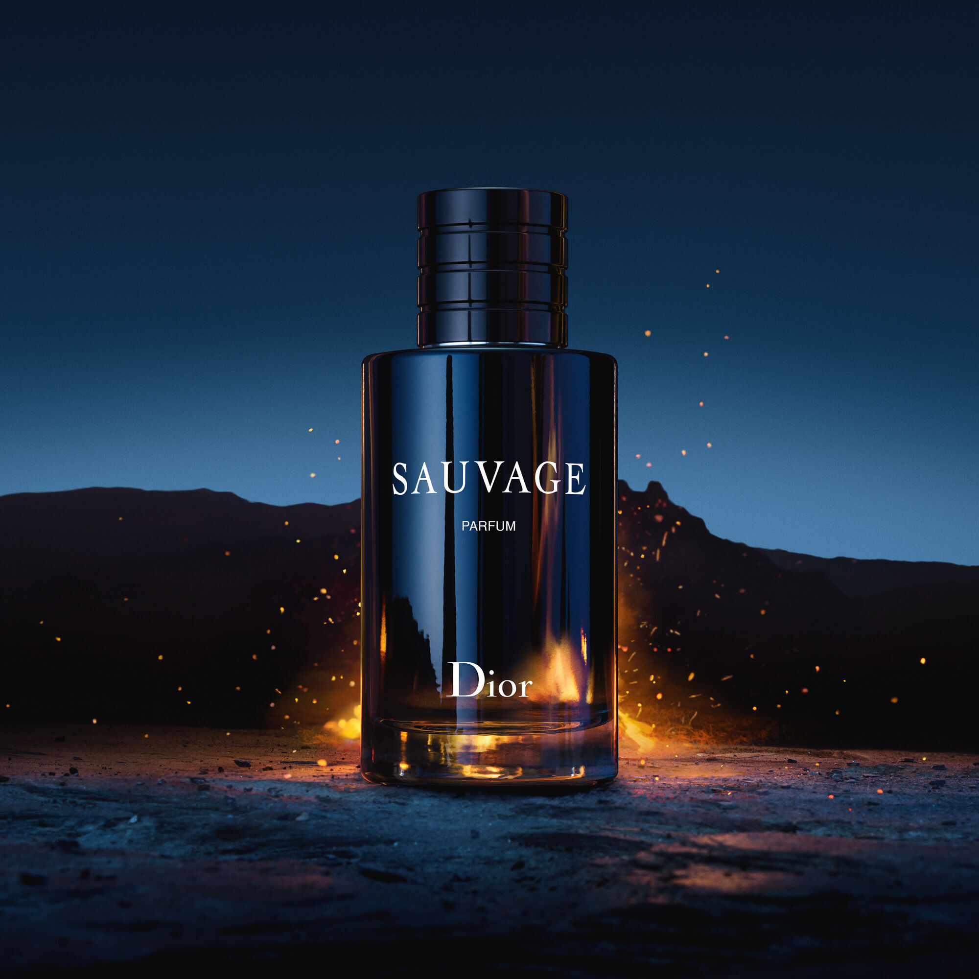 Sauvage 100ml, Parfum - Dior | MyOrigines Produit