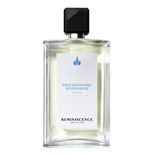 Sous Un Mimosa de Provence