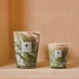 Leaves Marius Baobab Collection