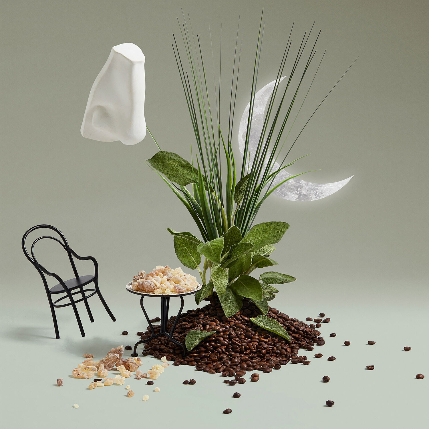 Endymion, Eau de Cologne Penhaligon's MyOrigines Produit