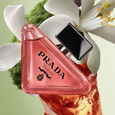 Paradoxe Intense Prada