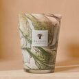 Leaves Marius Baobab Collection