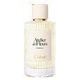 Atelier des Fleurs - Verbena Chlo&eacute;