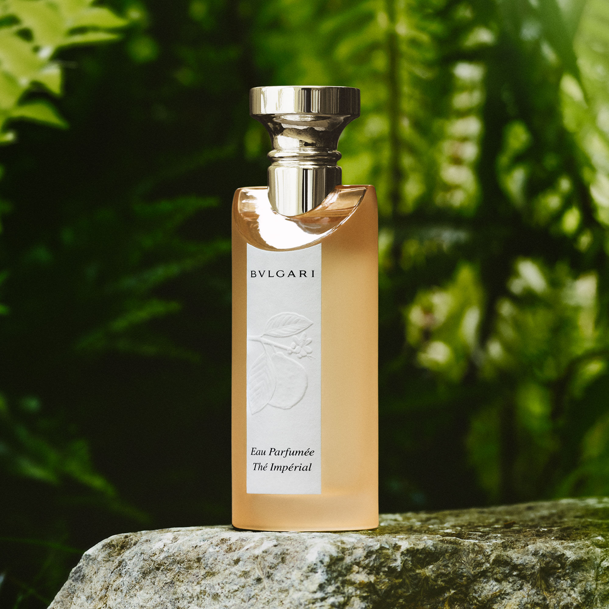 Eau Parfumée Thé Impérial, Eau de Toilette - Bvlgari | MyOrigines