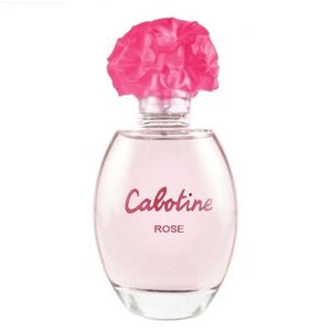 Cabotine Rose