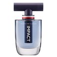 Impact Tommy Hilfiger
