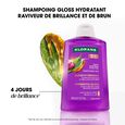Gloss Hydratant Shine-Restoring Shampoo & for Brown Hair