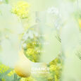 CHANCE EAU FRAICHE Chanel