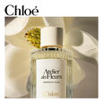 Atelier des Fleurs - Magnolia Alba Chlo&eacute;