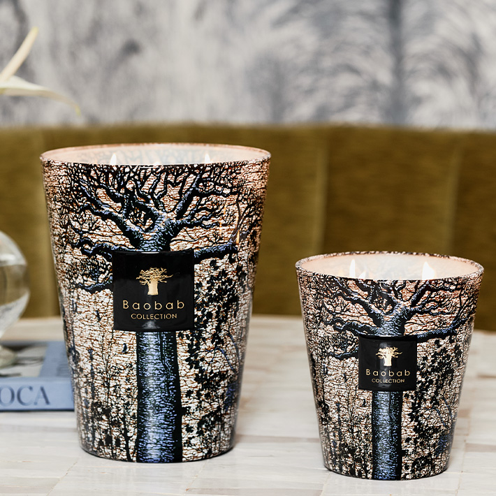 Bougies Baobab Collection