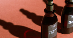 D&eacute;couvrez nos eaux de parfums intenses