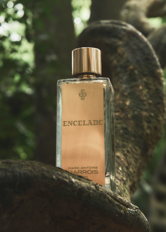 Marc-Antoine Barrois