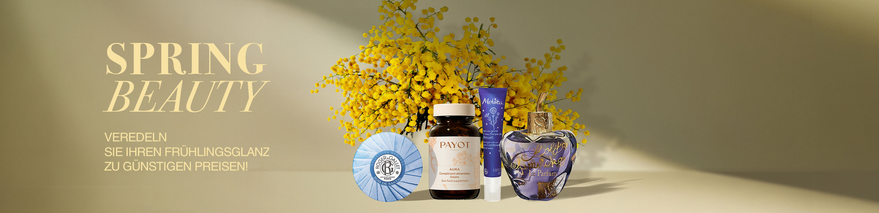 Banner-commercial-Spring-Special