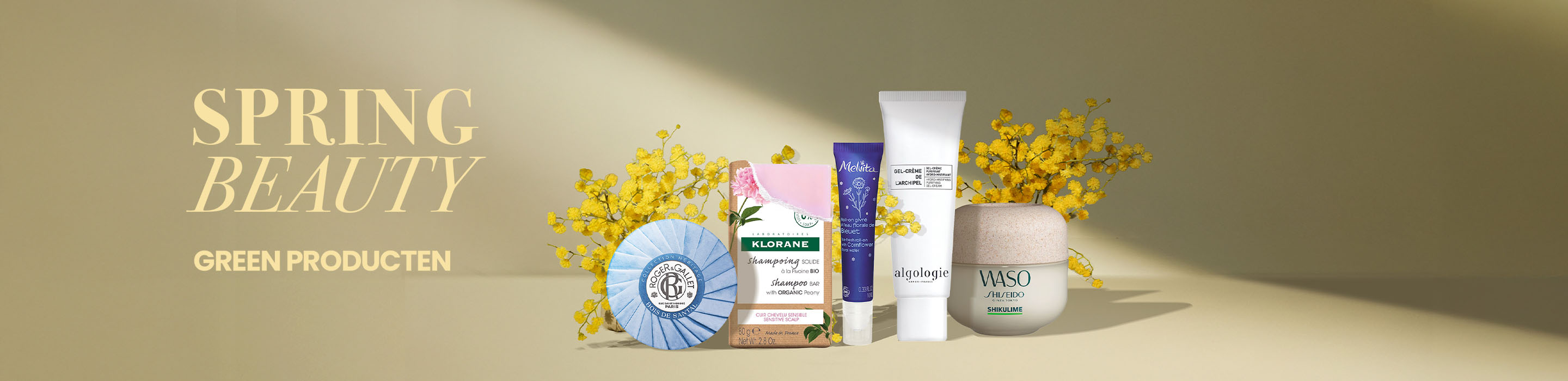 Banner-commercial-Spring-Special-Green