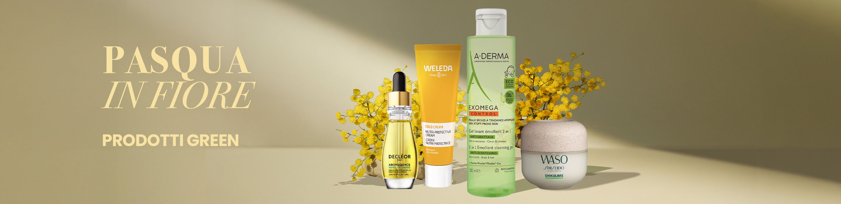 Banner-commercial-Spring-Special-Green