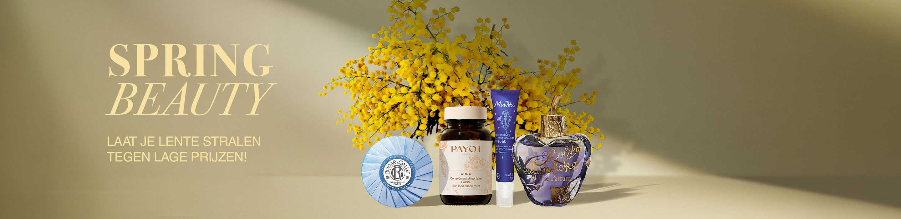 Banner-commercial-Spring-Special