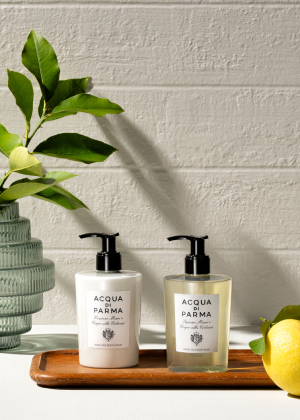 acqua di parma bain et corps