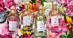 Trouvez votre parfum Aqua Allegoria