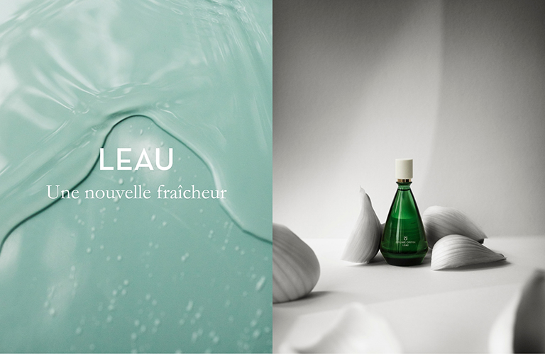 banniere brume orpin