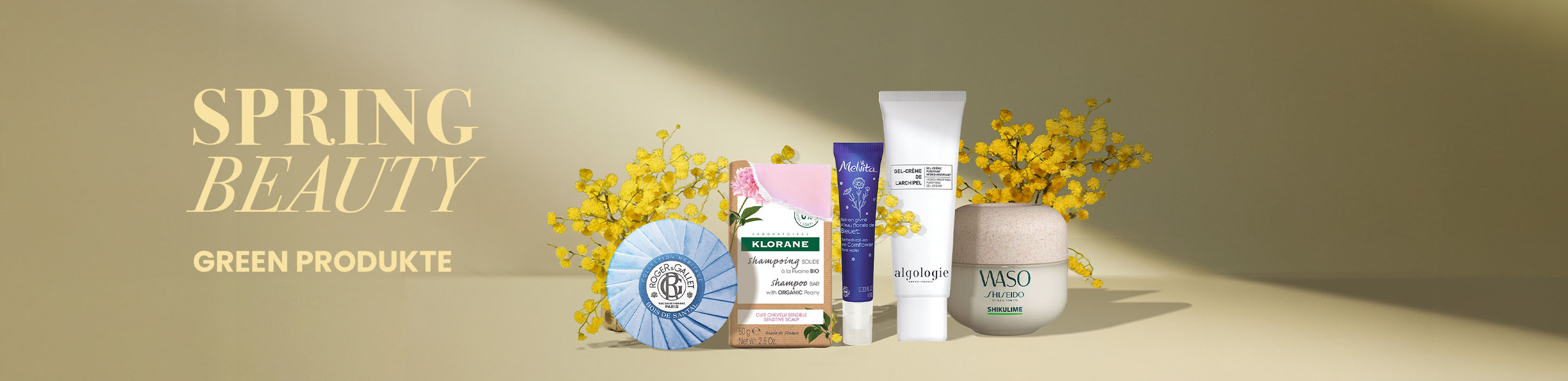 Banner-commercial-Spring-Special-Green