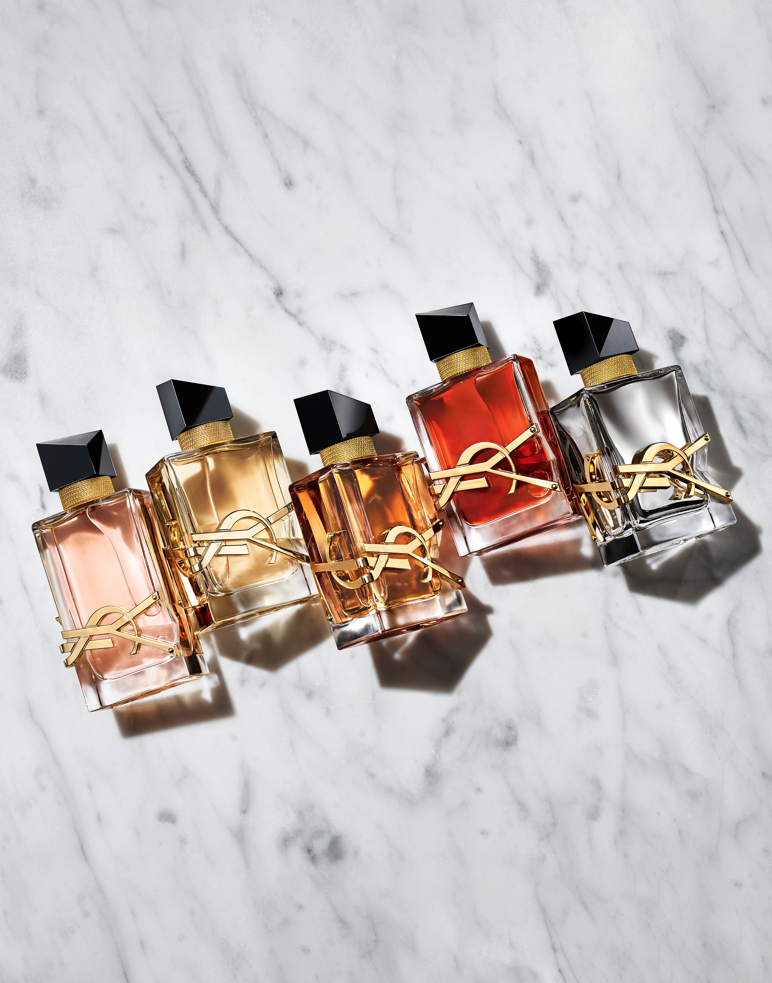 parfums Libre Yves Saint Laurent