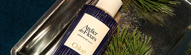 cedrus de nuit