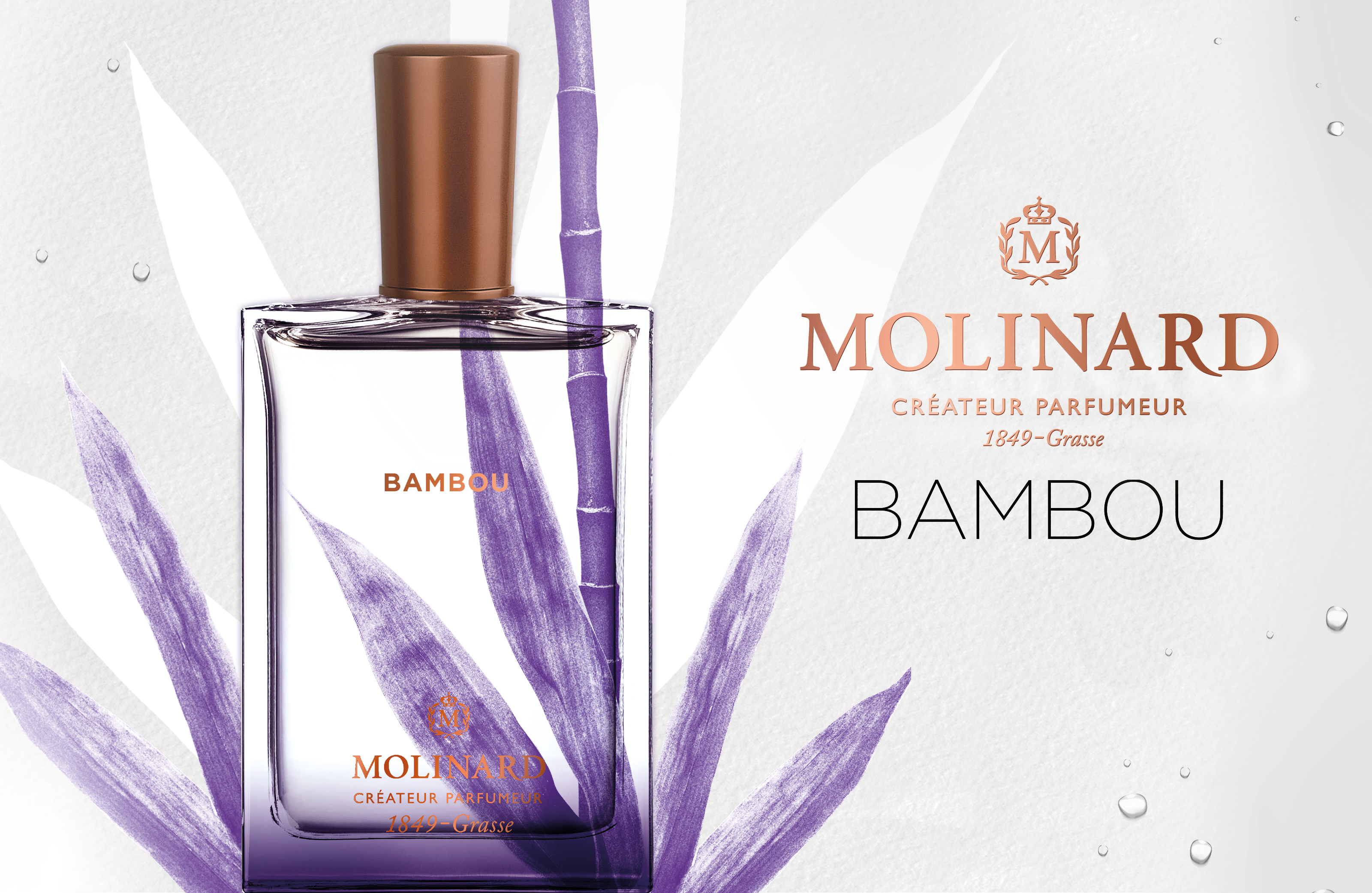 bannière molinard bambou