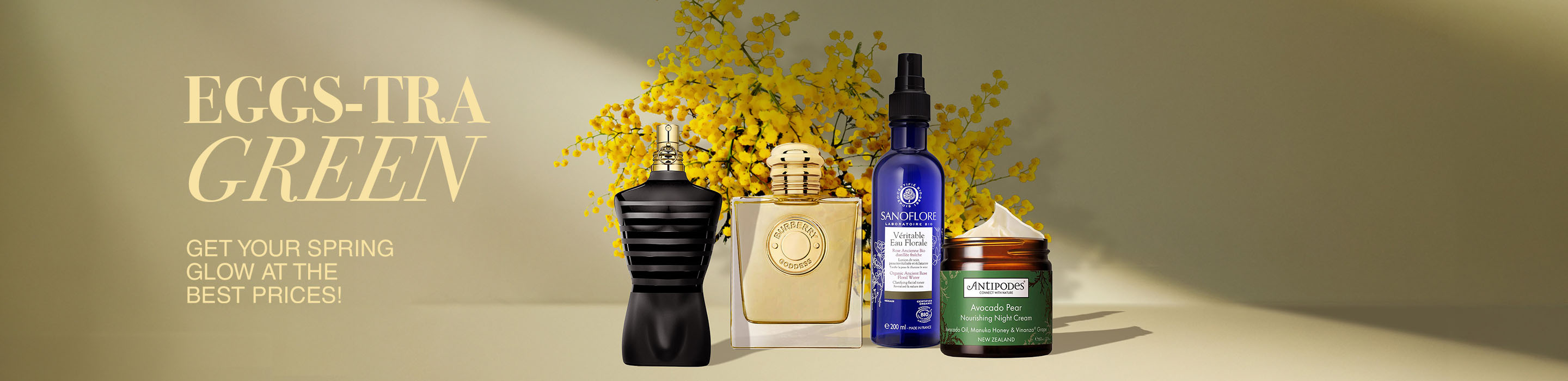 Banner-commercial-Spring-Special