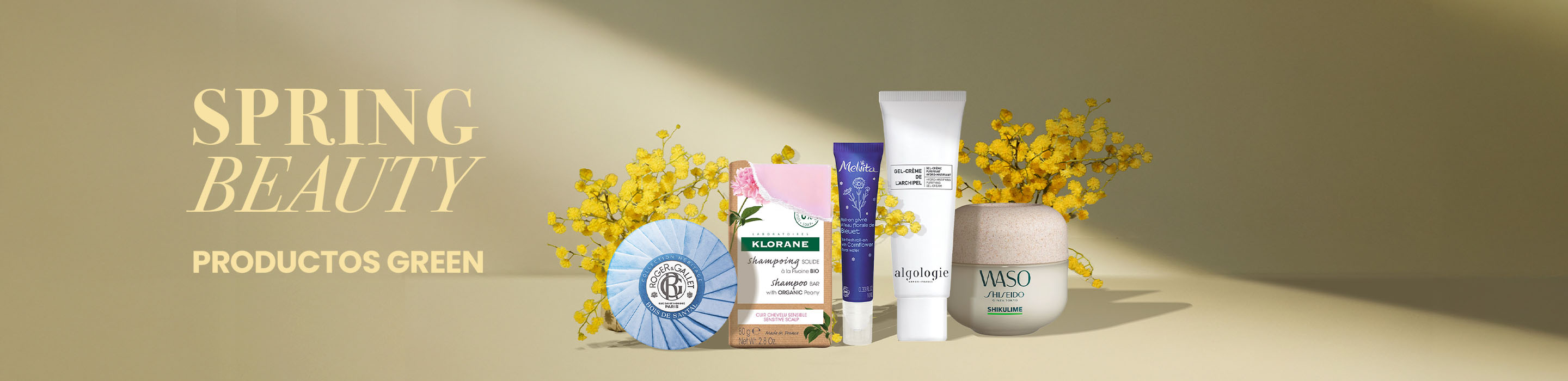 Banner-commercial-Spring-Special-Green