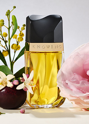 estee lauder parfums